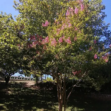 Do Sol Torres Vedras