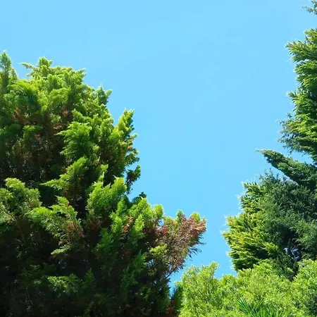 Do Sol * Torres Vedras