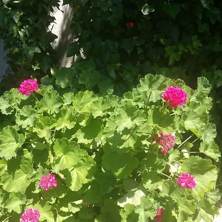 Tente de luxe Do Sol *