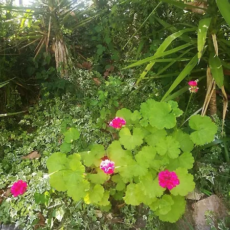 Do Sol Tente de luxe Torres Vedras