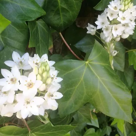 Do Sol Tente de luxe