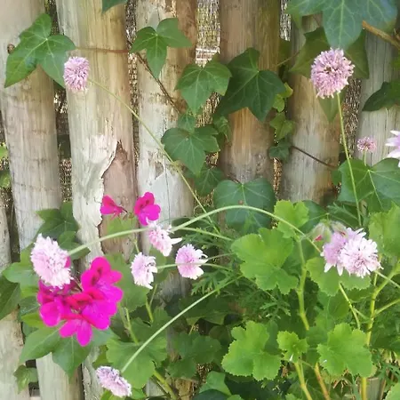 Do Sol Tente de luxe Torres Vedras