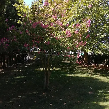 Do Sol Campismo de Luxo Torres Vedras