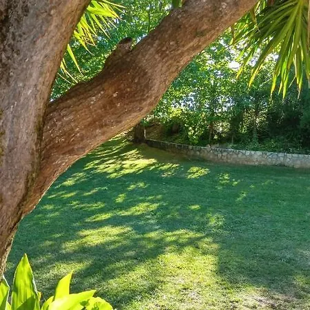 Campismo de Luxo Do Sol *
