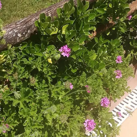 Do Sol