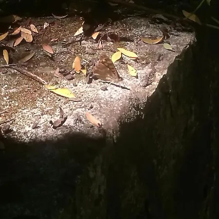 Do Sol * Torres Vedras