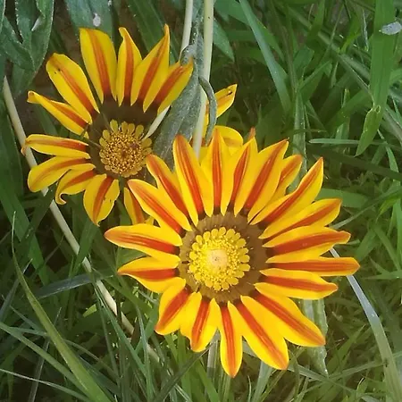 Do Sol Lyxtält Torres Vedras