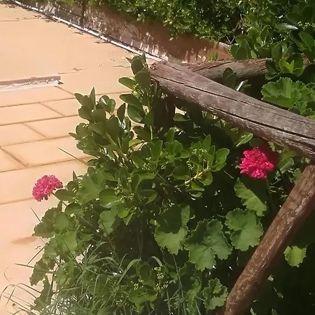 Do Sol Luksustelt Torres Vedras