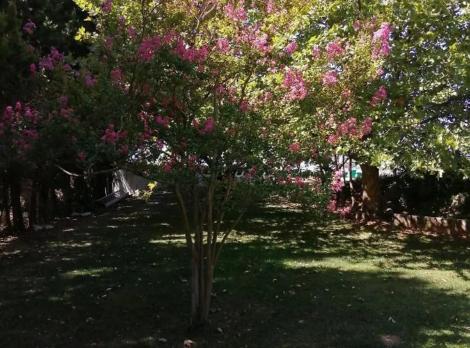 Do Sol Οργανωμένο κάμπινγκ Torres Vedras