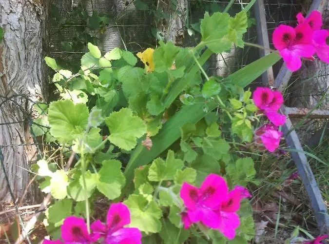 Do Sol Lyxtält Torres Vedras