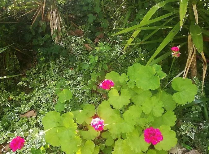 Do Sol Lyxtält Torres Vedras