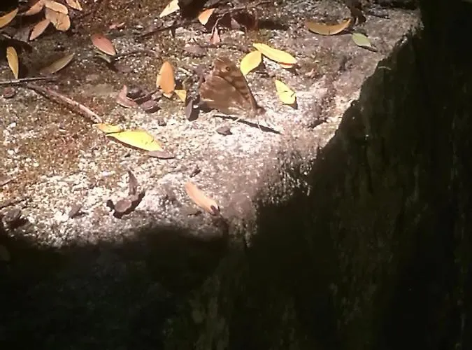 Do Sol * Torres Vedras